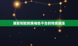 属蛇和蛇的属相合不合(你的命运是否受到影响)