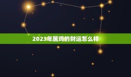 2023年属鸡的财运怎么样(介绍属鸡人的财富运势)