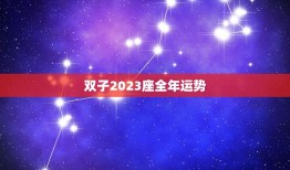 双子2023座全年运势(机遇与挑战并存)