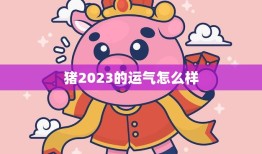 猪2023的运气怎么样(展望财运旺盛感情顺利)