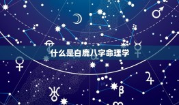 白鹿八字命理能红多久(介绍命理学的预测能否决定一个人的命运)