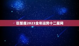 巨蟹座2023全年运势十二星网(幸运之年财运亨通)