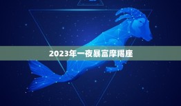 2023年一夜暴富摩羯座(星座预测成真财富之门即将开启)