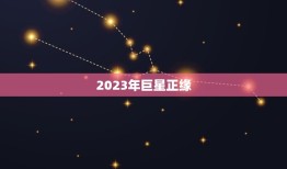 2023年正缘(掀起全球热潮谁将成为下一个超级)