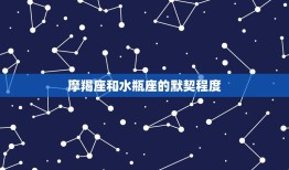 星盘摩羯和水瓶多好吗(介绍两个星座的默契配对)