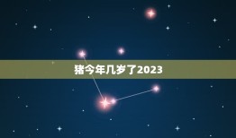 猪今年几岁了2023(猪年生肖运势介绍)