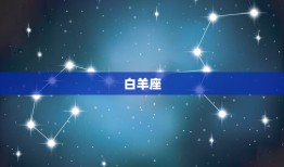 12星座最强大的星座(介绍哪个星座气质)