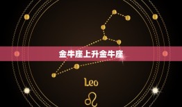 怎么看金牛的上升星座(如何解读你的人际关系)