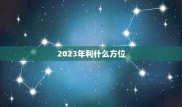 2023年利什么方位(探寻未来商业发展的方向)