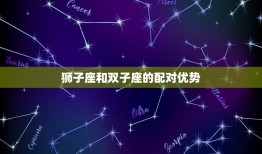 狮子座和双子座有缘吗(星座配对介绍)