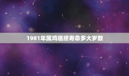 1981年属鸡临终寿命多大岁数(十二生肖中属鸡人的寿命分析)