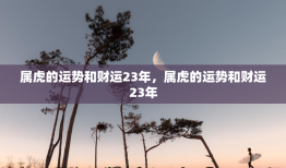 属虎的运势和财运23年，属虎的运势和财运23年