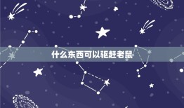 什么东西可以驱赶老鼠(有效的老鼠驱赶方法大介绍)