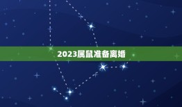 2023属鼠准备离婚(如何化解婚姻危机)