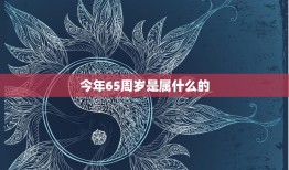 今年65周岁是属什么的(解析退休、养老金、社保、医保、税收)