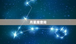 日星座月星座如何查询(快速获取你的星座信息)