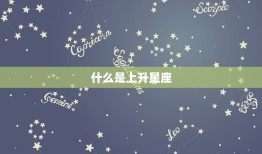 上升星座怎么算计算器(快速计算你的上升星座)