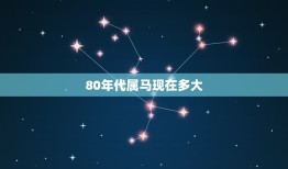 80年代属马现在多大(回顾80年代属马人的历程)