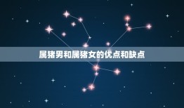 属猪男适合找属猪女吗(星座专家介绍)