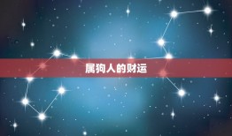 七零年属狗人2023(狗年大吉幸福满满)