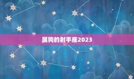 属狗的射手座2023(运势大介绍)