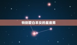 爱白羊女的星座男(匹配星座大介绍)