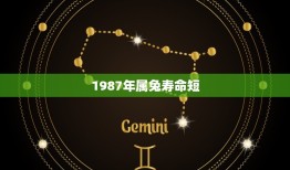 1987年属兔寿命短(介绍到底是什么)