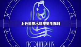 上升星座水瓶座男生配对(完美星座组合)