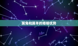 属兔和属羊婚姻长久吗(星座专家介绍)