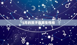 5月的双子座男生性格(多变聪慧难以捉摸)