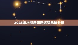 水瓶座工作运势怎么样(2023年职场前景分析)