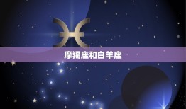 摩羯注定爱上哪个星座(星座配对大介绍)