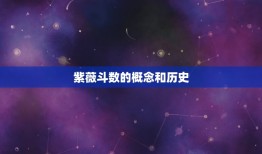 八字运势详批紫薇斗数(介绍你的命运轨迹)