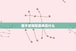 属牛忌婚配属相是什么(如何避免婚姻不幸)