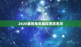 2023姜姓兔年最旺男孩名字(探寻未来流行男孩名字趋势)