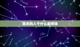 属虎的人干什么最挣钱(介绍职业、投资、创业)