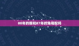 80年的猴和87年的兔相配吗(十二生肖配对大介绍)