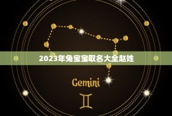 2023年兔宝宝取名大全赵姓(兔宝宝命名指南)