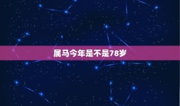 属马今年是不是78岁(马年生肖年龄计算方法介绍)