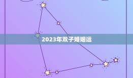 2023年双子婚姻运(顺风顺水幸福美满)