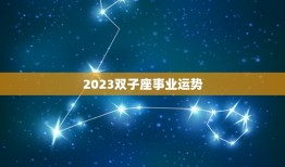 2023双子座事业运势(职场新机遇抓住机会创造辉煌)