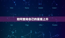 星座上升查询表怎么看(解读你的命运趋势)