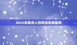 属虎2023年的财运(展望财源滚滚财富不断涌现)