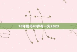 78年属马43岁有一灾2023(如何化解)