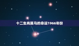 十二生肖属马的命运1966年份(马年人的命运如何)