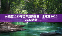 水瓶座2023年全年运势详解，水瓶座20202023运势