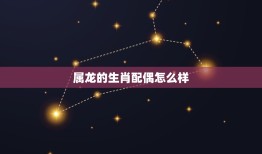 属龙的生肖配偶怎么样(如何与其他生肖搭配)