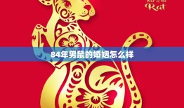 84年男鼠的婚姻怎么样(幸福美满还是波折不断)