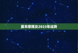 属羊摩羯女2023年运势(顺风顺水财运亨通)