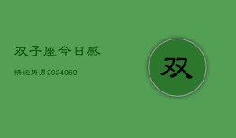 双子座今日感情运势男(20240607)